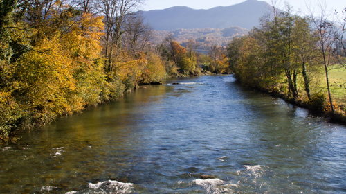 Entretien des berges des cours d'eau, ravines et fossés