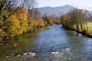 Entretien des berges des cours d'eau, ravines et fossés