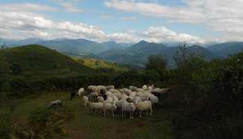 La Ferme de la Fine Bouche